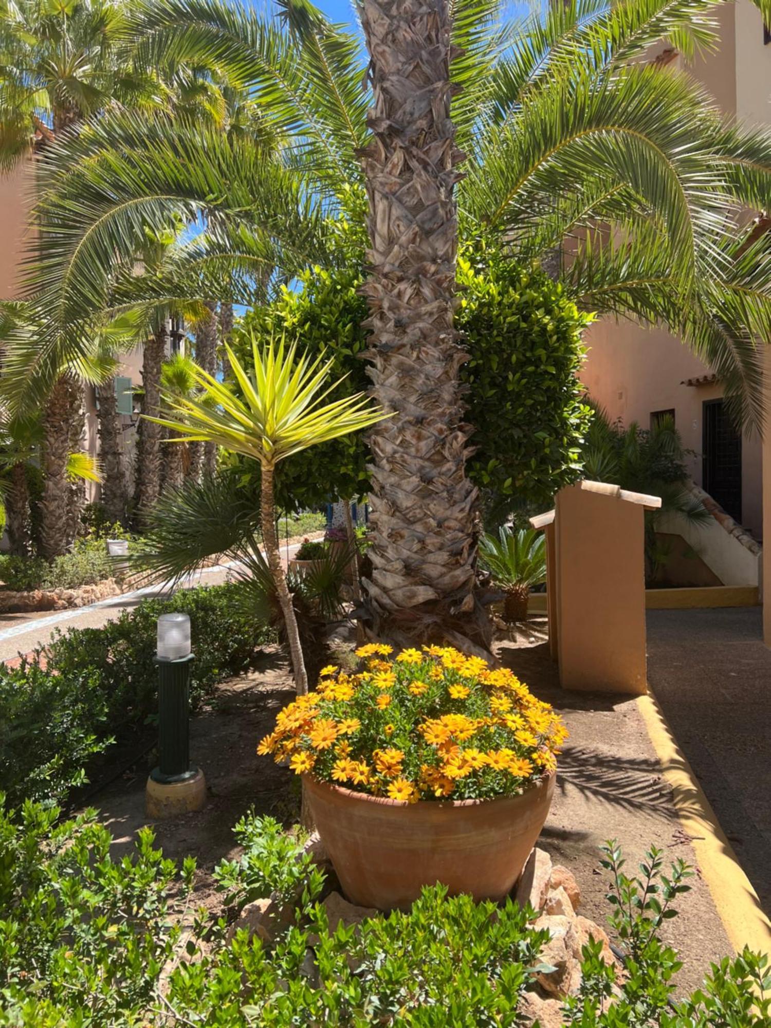 Апартаменти Casa Al Mare Aldea Торрев'єха Екстер'єр фото